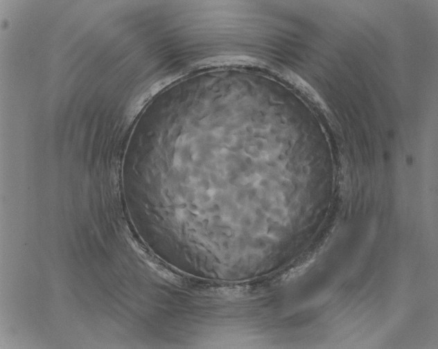 X0000067390937200604131928