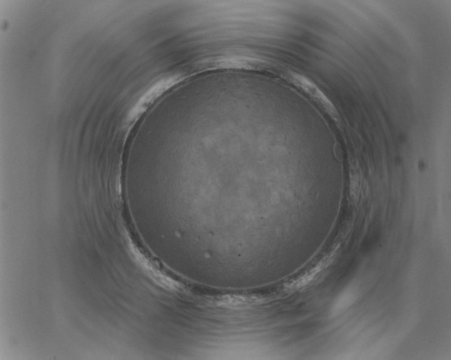 X0000067390938200604131928