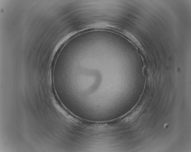 X0000067390939200604131928