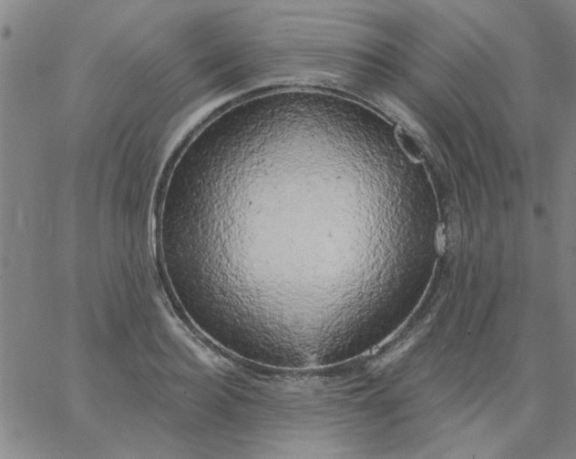 X0000067390940200604131928