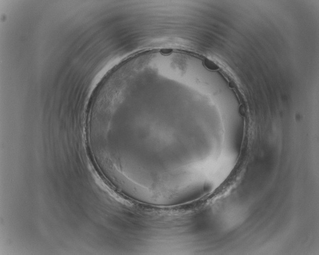 X0000067390941200604131928