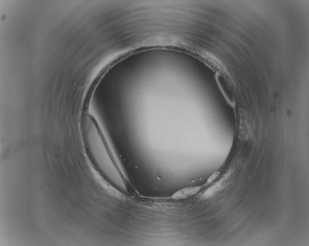 X0000067390942200604131928