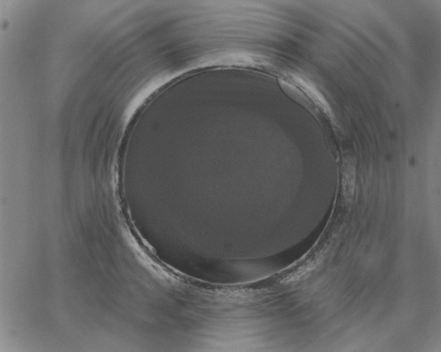 X0000067390944200604131928