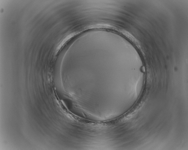 X0000067390945200604131928