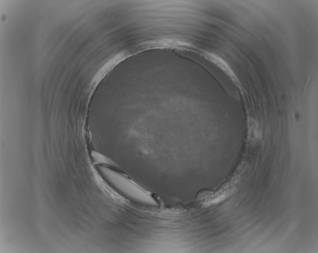 X0000067390946200604131928