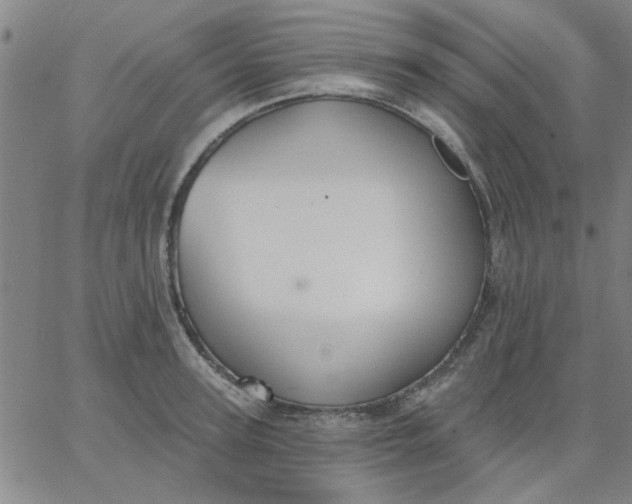 X0000067390947200604131928