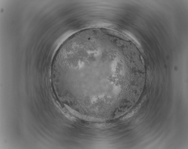 X0000067390948200604131928