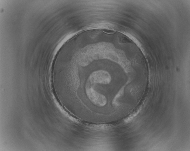 X0000067390949200604131928