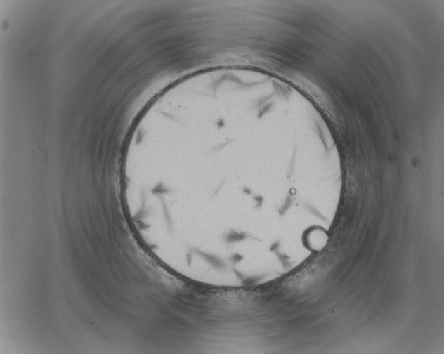 X0000067390950200604131928