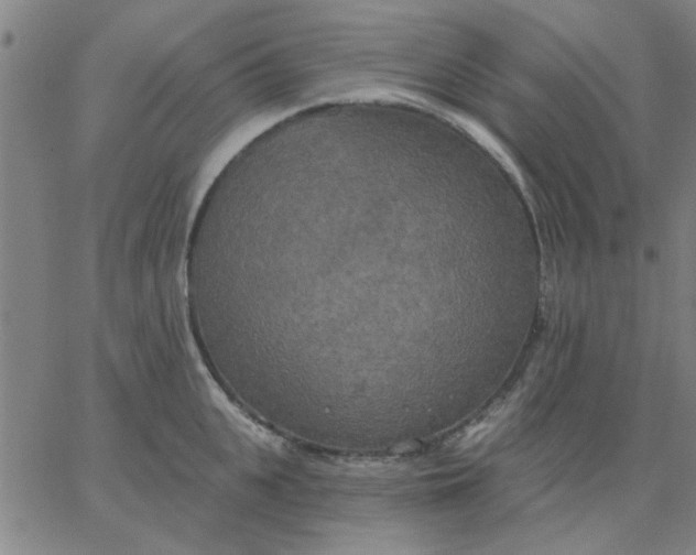 X0000067390951200604131928