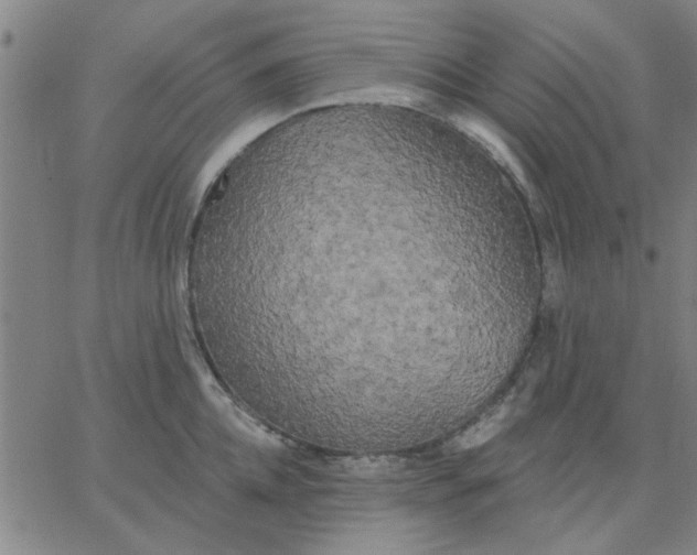 X0000067390952200604131928