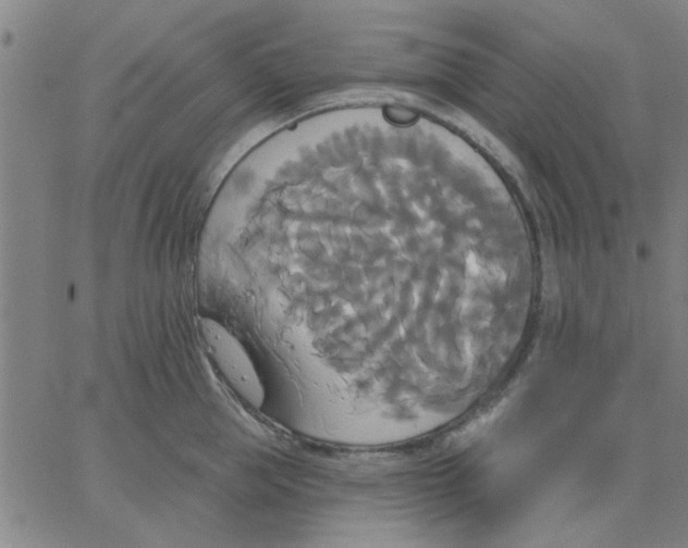 X0000067390953200604131928