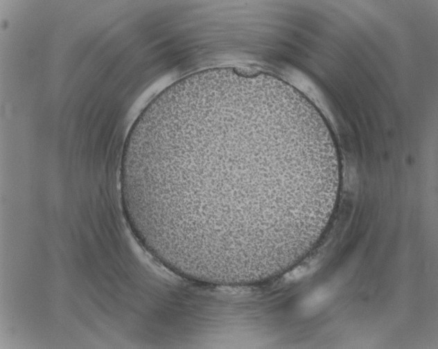 X0000067390954200604131928