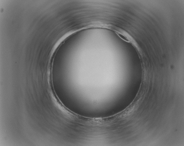 X0000067390955200604131928