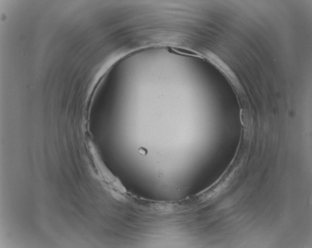 X0000067390956200604131928