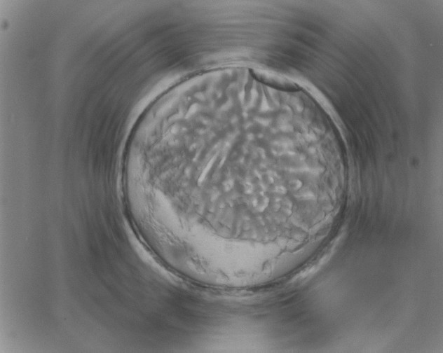 X0000067390957200604131928