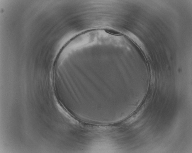 X0000067390958200604131928