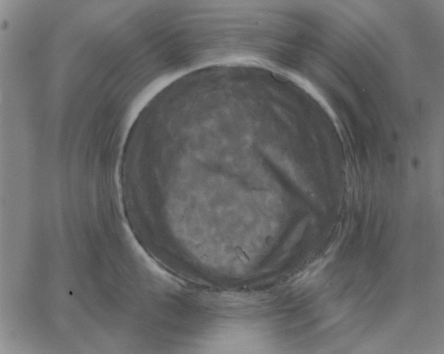 X0000067390959200604131928