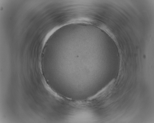 X0000067390960200604131928