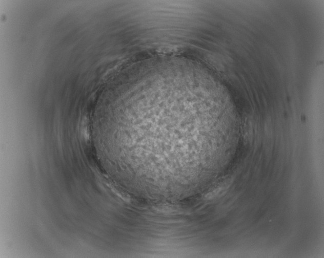 X0000067390962200604131928