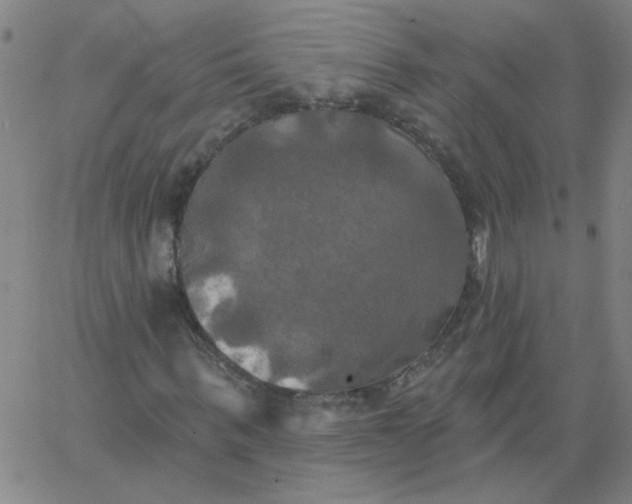 X0000067390963200604131928