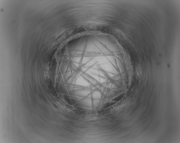 X0000067390964200604131928