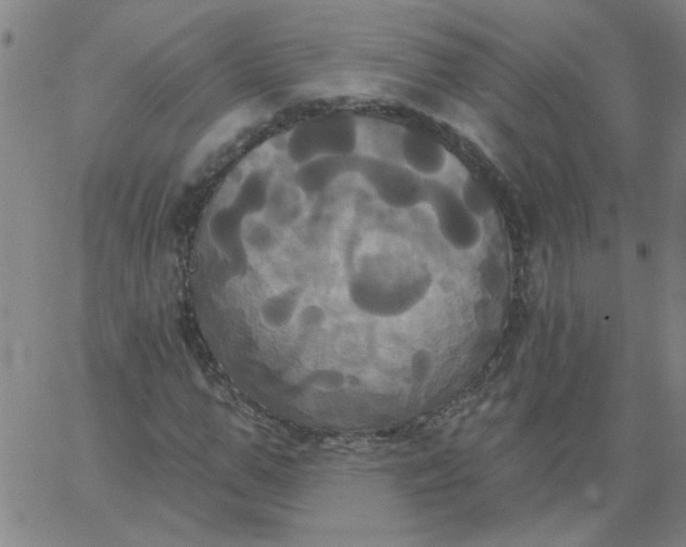 X0000067390967200604131927