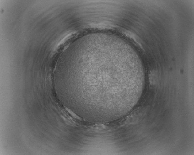 X0000067390968200604131927