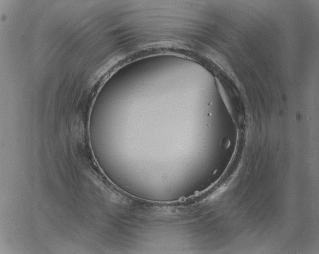 X0000067390969200604131927