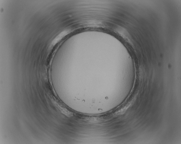 X0000067390970200604131927