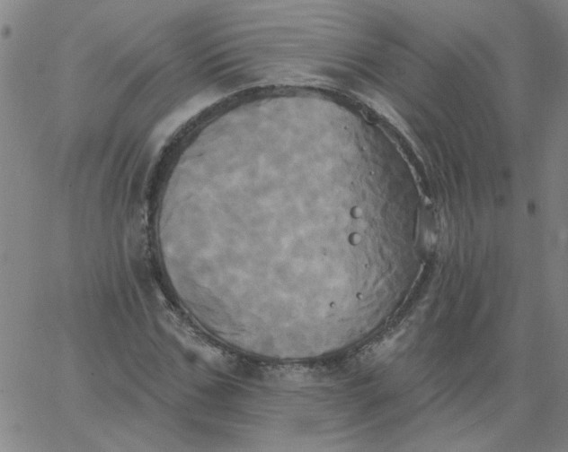 X0000067390971200604131927