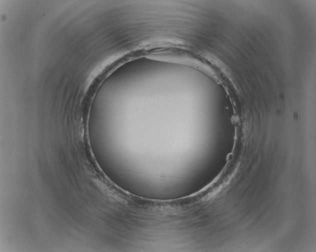 X0000067390973200604131927