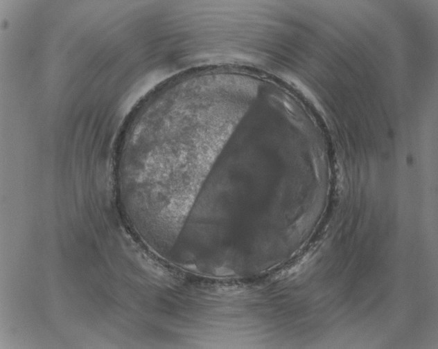 X0000067390975200604131927