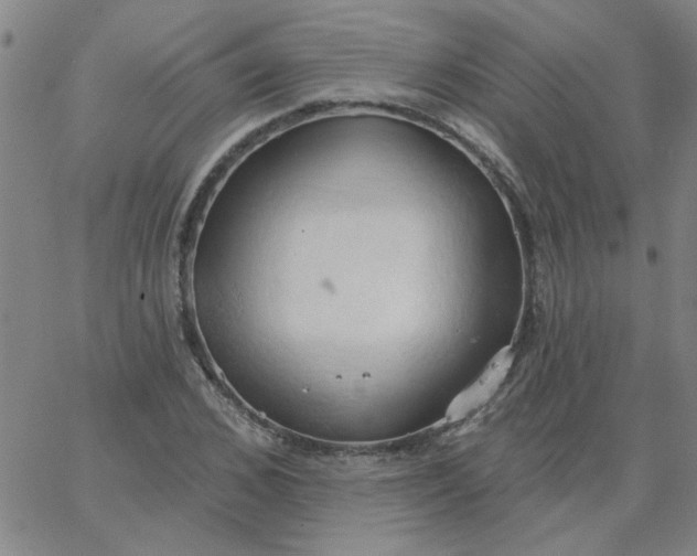 X0000067390976200604131927