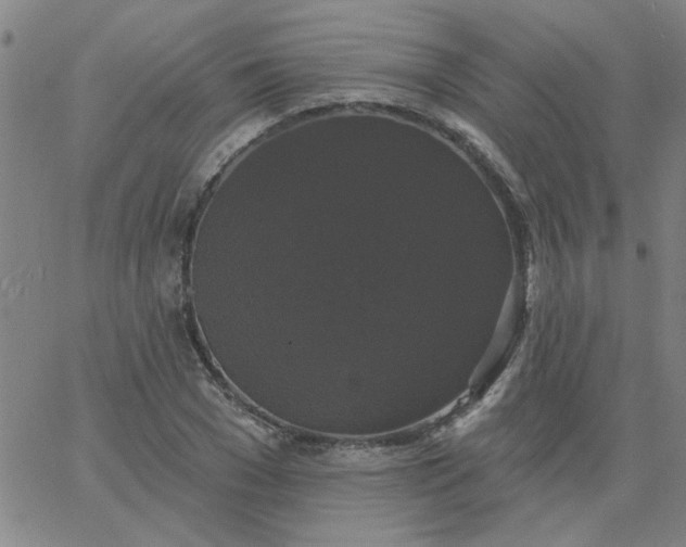 X0000067390977200604131927