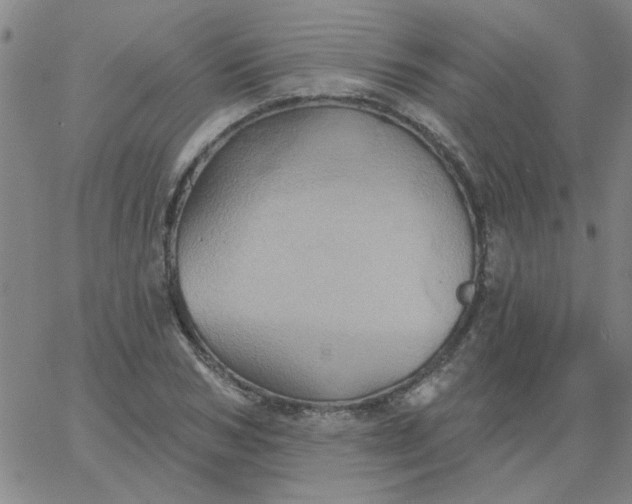 X0000067390978200604131927