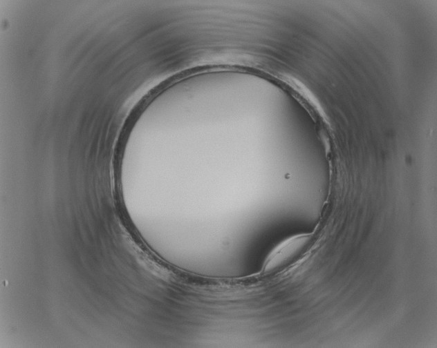 X0000067390980200604131927