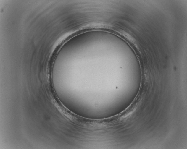 X0000067390981200604131927