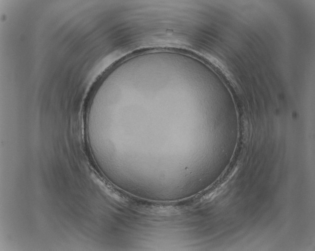 X0000067390982200604131927