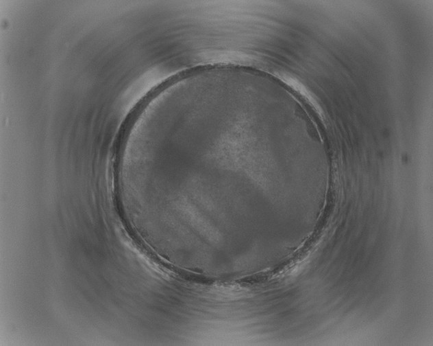 X0000067390983200604131927