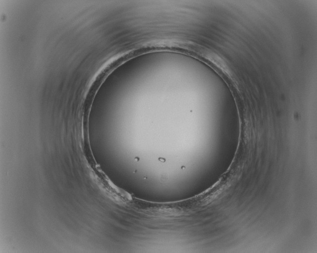 X0000067390984200604131927