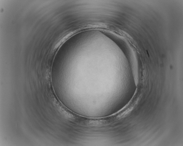 X0000067390985200604131927