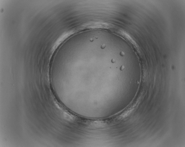 X0000067390986200604131927