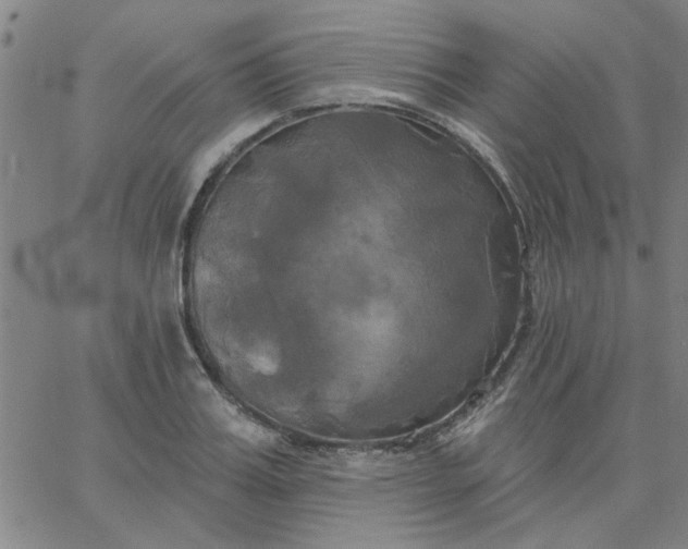 X0000067390987200604131927