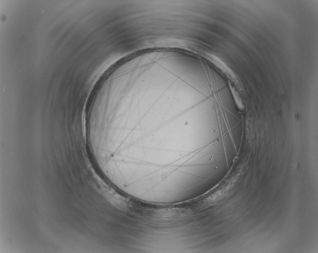 X0000067390988200604131927