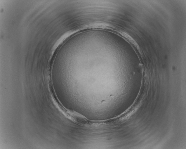 X0000067390989200604131927