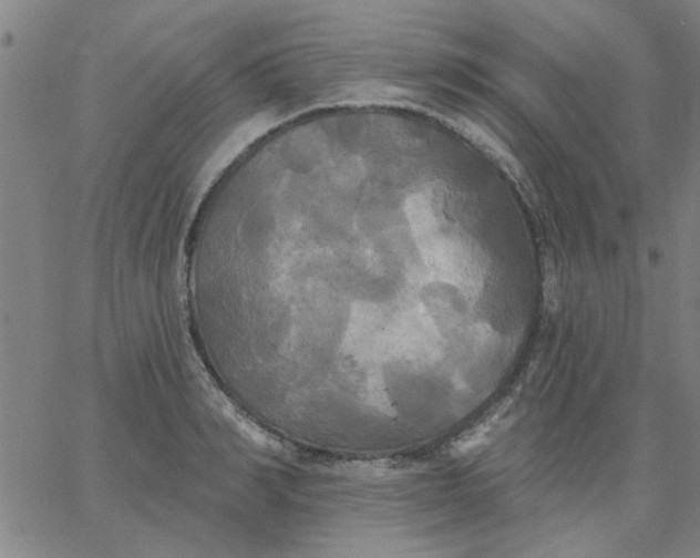 X0000067390990200604131927