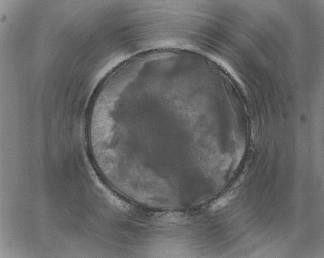 X0000067390991200604131927