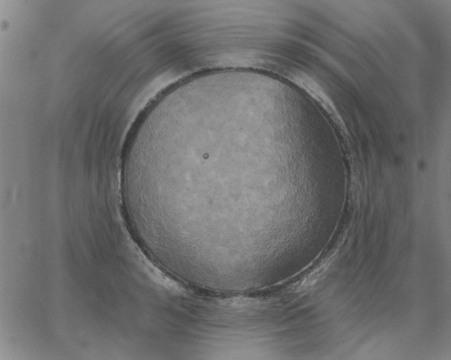 X0000067390992200604131927