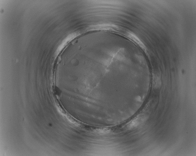 X0000067390994200604131927